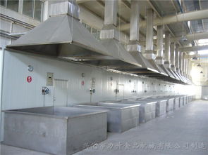 泉州高性價比噴碼機配套設備廠家直銷，助力蔬菜行業高效標識