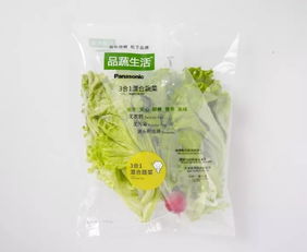 蘇州松下新植物工廠蔬菜正式出貨，科技農(nóng)業(yè)開啟綠色新篇章